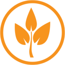 Icon of a stick with three leaves