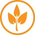 Icon of a stick with three leaves