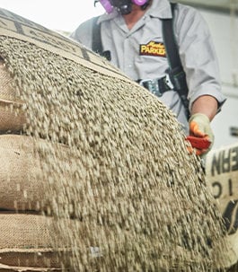 Pre-roasted beans pouring from a burlap sack
