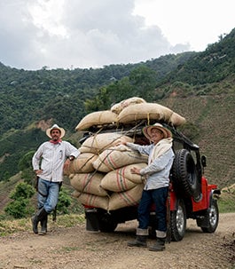 Two men securing several burlap sacks to a small Jeep