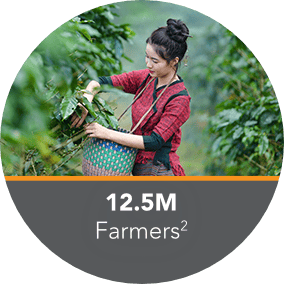 Woman harvesting in a field